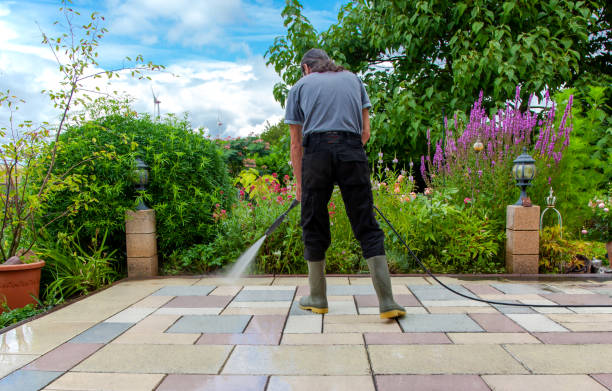 Best Roof Cleaning and Mildew Removal in Rose Hill, NC