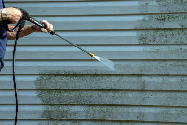 Best Gutter Cleaning and Brightening in Rose Hill, NC